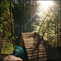 Haldon Feeride Project - Second Image